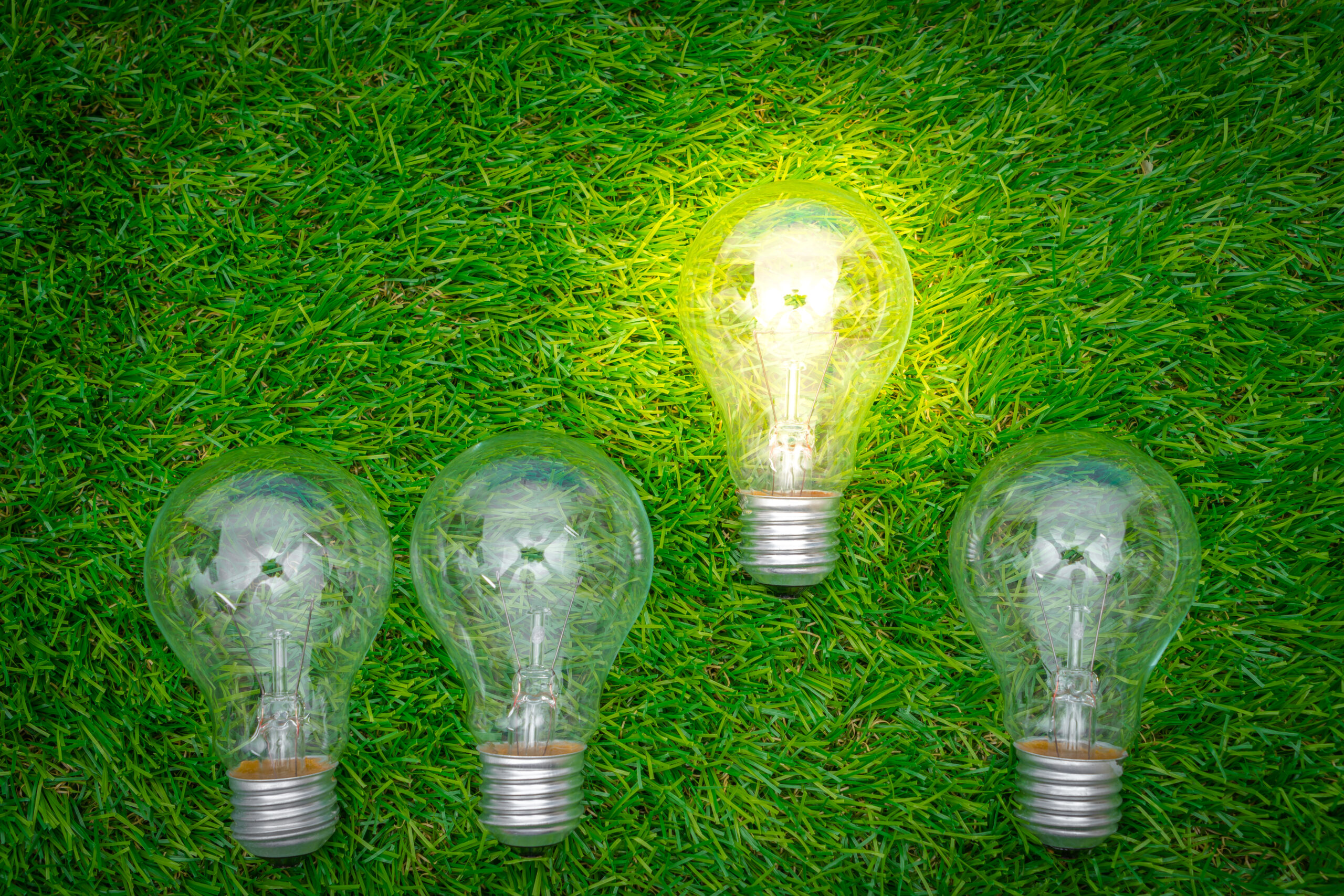 net-zero-roadmap